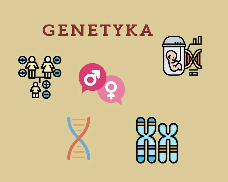 Biologia: genetyka od podstaw — jak wpływa na życie?