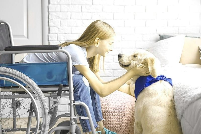Dogoterapia – na czym polega, jakie daje korzyści i jak wybrać zajęcia?