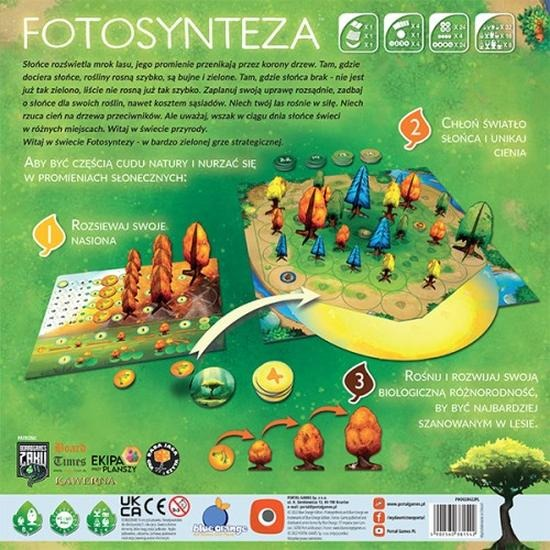 Fotosynteza – jak rośliny zamieniają światło w energię?