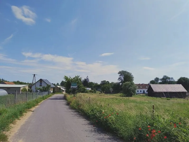 Kiedy była bitwa pod Płowcami i jakie przyniosła konsekwencje