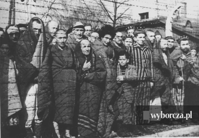 Kto naprawdę wyzwolił Auschwitz — prawda o bohaterach i tragedii obozu