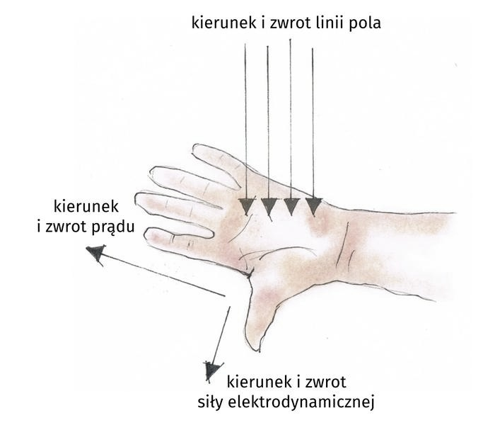Reguła prawej dłoni: prosty sposób na uniknięcie błędów w magnetyzmie