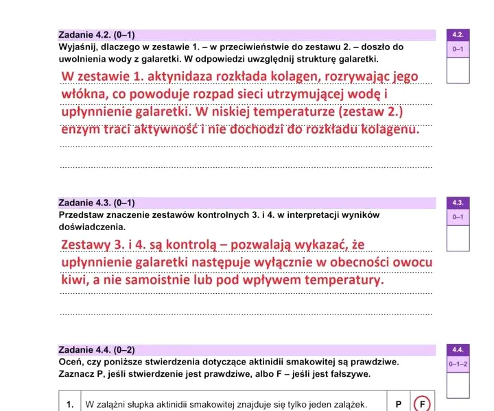 Repetytorium do matury z biologii – jak wybrać najlepsze bez stresu?