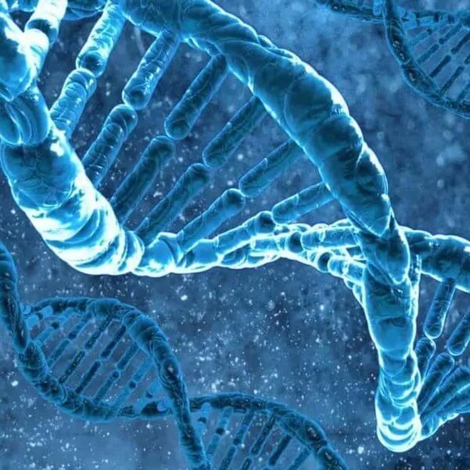 Biologia molekularna
