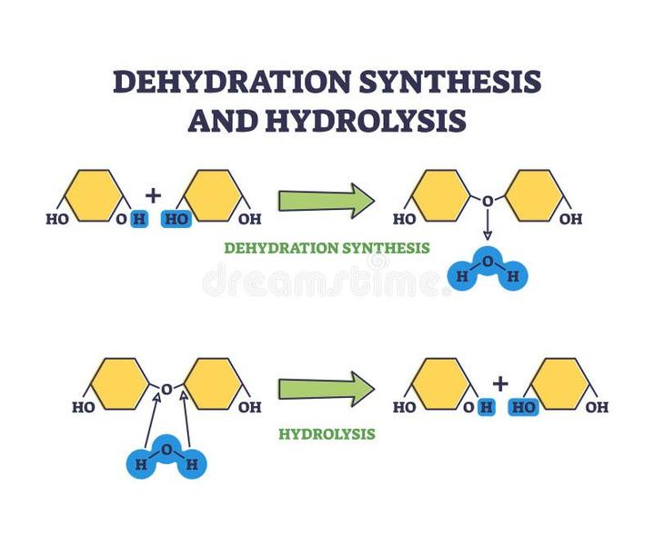 Hydroliza w chemii