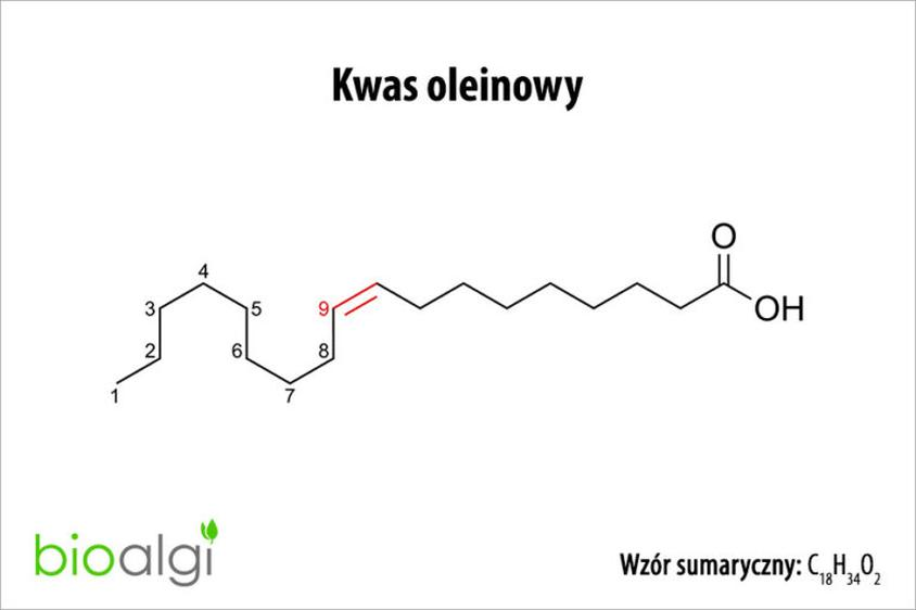 Kwas palmitynowy