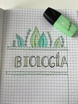 Ozdabianie zeszytów do biologii