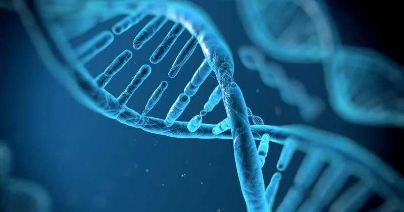 Rozwój organizmów a DNA
