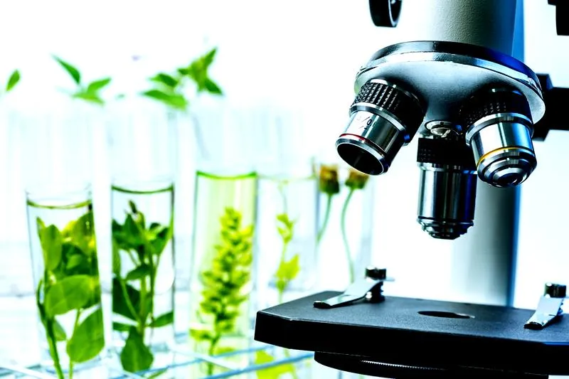 Skuteczna nauka biologii